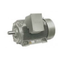 Nestandardni motori veličine 315l i veći